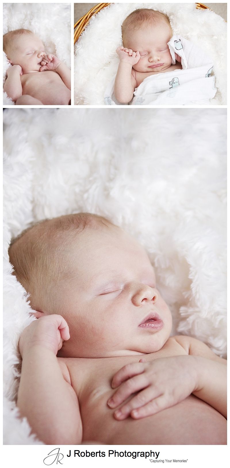 Baby portraits in a cosy basket - sydney newborn baby portrait photographer